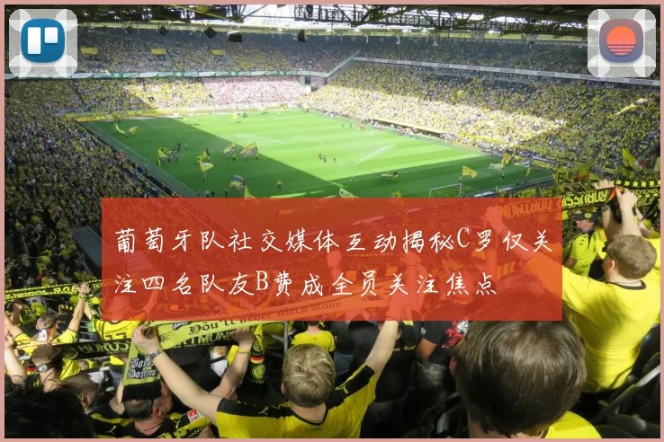 葡萄牙队社交媒体互动揭秘C罗仅关注四名队友B费成全员关注焦点
